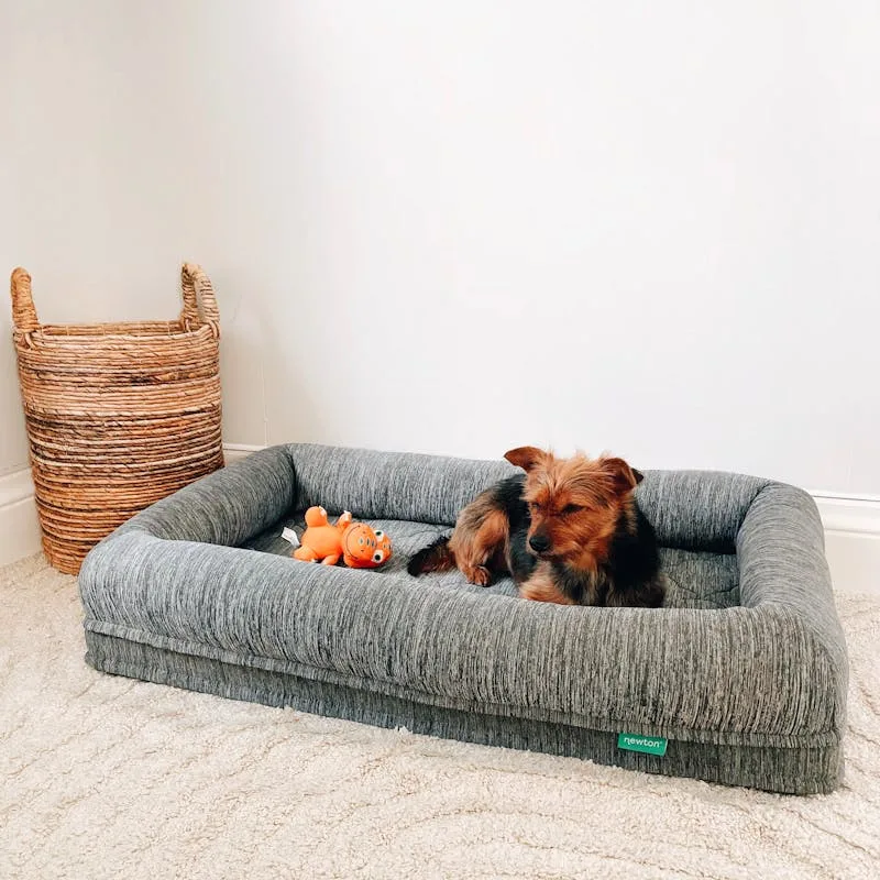 PetComfort Cama Lavable Antiestrés Talla M 60cm Gris
