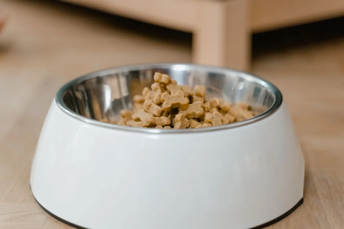 PetComfort Comedero Doble Acero Inoxidable con Base