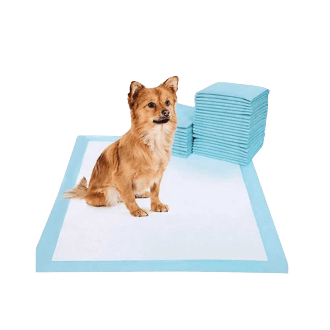 Pack alfombra absorbente – imagen 2