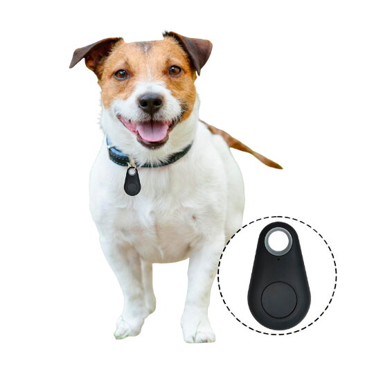 Rastreador gps