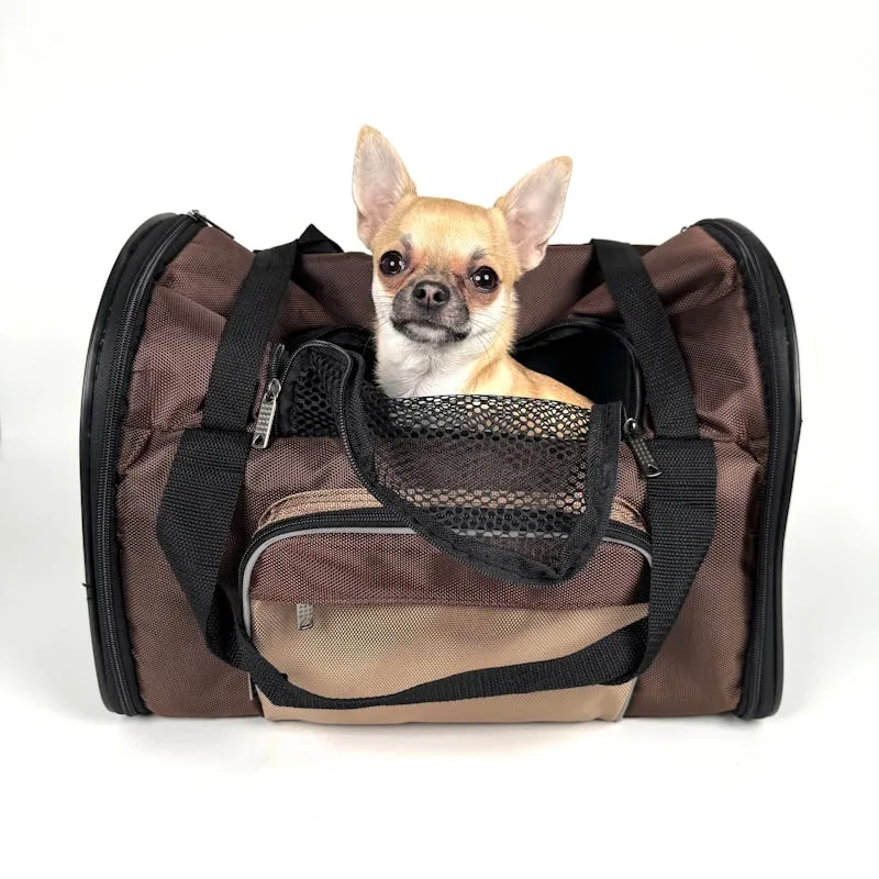 PetTravel Transportadora Plástica Rígida Talla M